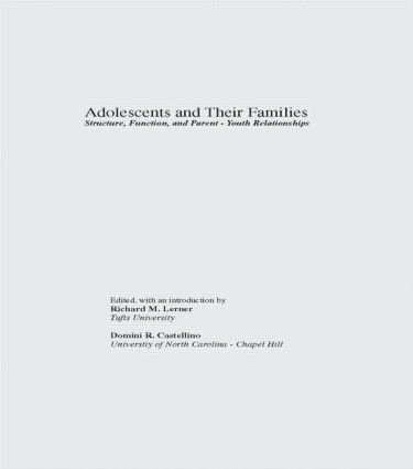 bokomslag Adolescents and Their Families