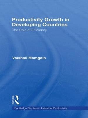 Vaishali Mamgain - Productivity Growth in Developing Countries, Inbunden