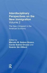 bokomslag New Immigrant in the American Economy