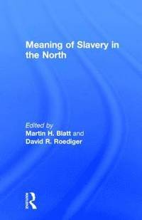 bokomslag Meaning of Slavery in the North