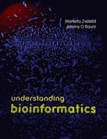 bokomslag Understanding Bioinformatics