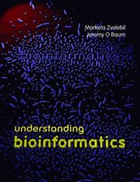 bokomslag Understanding Bioinformatics