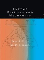 Enzyme Kinetics and Mechanism 1