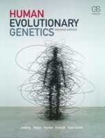 bokomslag Human Evolutionary Genetics