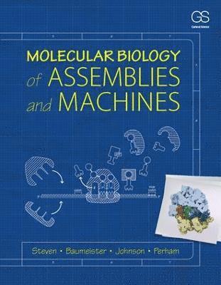bokomslag Molecular Biology of Assemblies and Machines