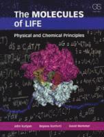 The Molecules of Life 1