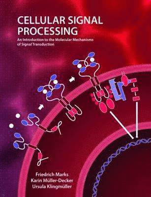 Friedrich Marks, Ursula Klingmuller - Cellular Signal Processing: An Introduction to the Molecular Mechanisms of Signal Transduction, Häftad