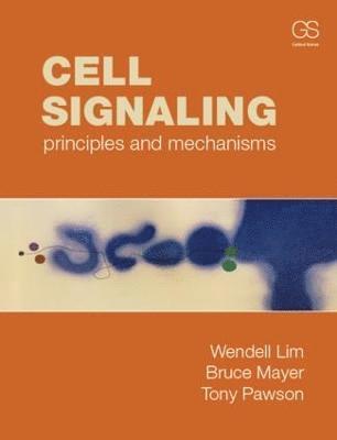 Cell Signaling 1