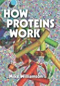 bokomslag How Proteins Work