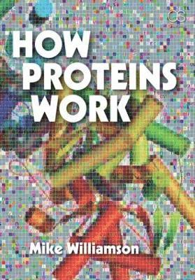 How Proteins Work 1