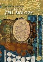 bokomslag Essential Cell Biology