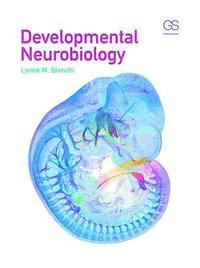 bokomslag Developmental Neurobiology