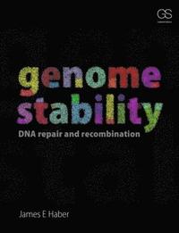 bokomslag Genome Stability