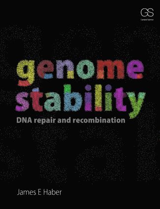 bokomslag Genome Stability