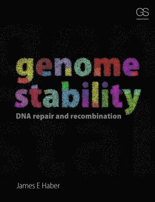 James Haber - Genome Stability, Häftad