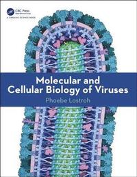 bokomslag Molecular and Cellular Biology of Viruses