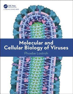 bokomslag Molecular and Cellular Biology of Viruses