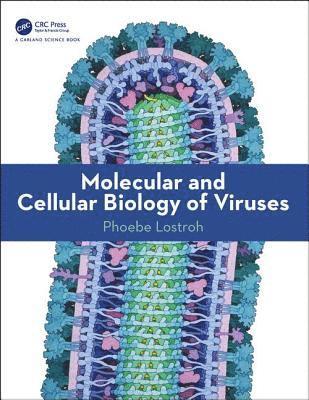 Lostroh, P: Molecular and Cellular Biology of Viruses