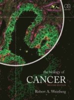 bokomslag The Biology of Cancer