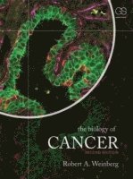 The Biology of Cancer 1