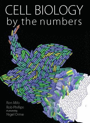 bokomslag Cell Biology by the Numbers