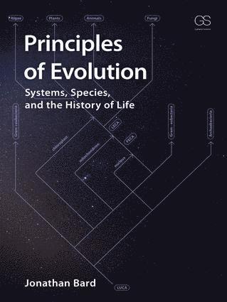 bokomslag Principles of Evolution