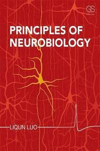bokomslag Principles of Neurobiology + Garland Science Learning System Redemption Code