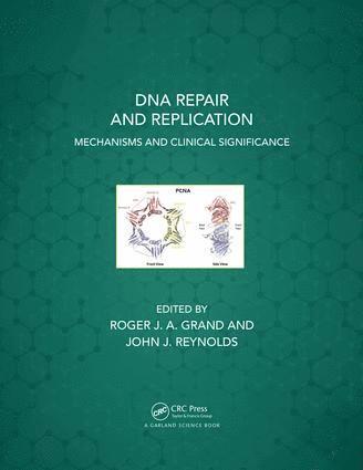 bokomslag DNA Repair and Replication