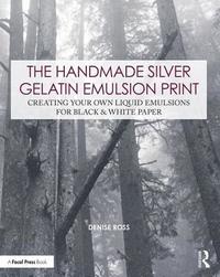 bokomslag The Handmade Silver Gelatin Emulsion Print