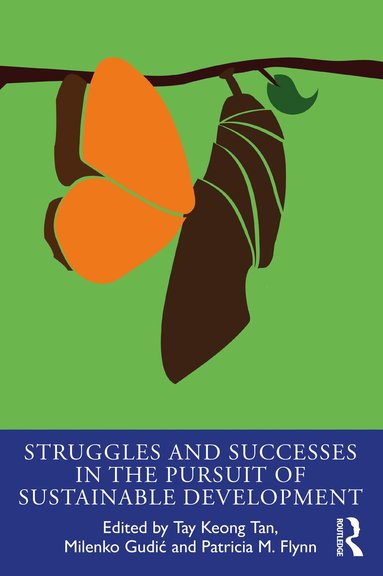Tay Keong Tan, Milenko Gudic, Patricia Flynn - Struggles and Successes in the Pursuit of Sustainable Development, Häftad