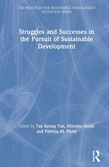 Tay Keong Tan, Milenko Gudic, Patricia Flynn - Struggles and Successes in the Pursuit of Sustainable Development, Inbunden