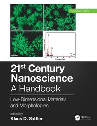 bokomslag 21st Century Nanoscience - A Handbook