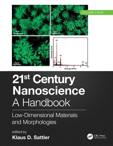 Klaus D. Sattler - 21st Century Nanoscience – A Handbook, Inbunden