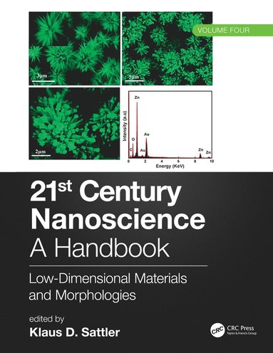 bokomslag 21st Century Nanoscience  A Handbook