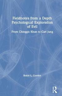 bokomslag Fieldnotes from a Depth Psychological Exploration of Evil