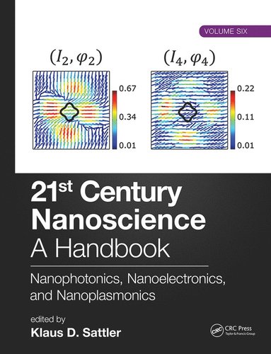 bokomslag 21st Century Nanoscience - A Handbook