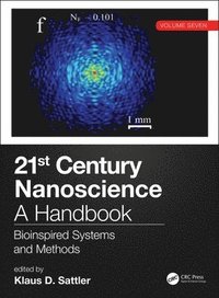 bokomslag 21st Century Nanoscience  A Handbook