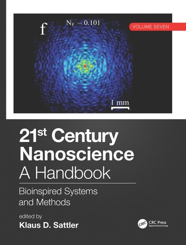 bokomslag 21st Century Nanoscience  A Handbook