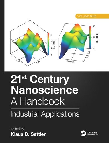 bokomslag 21st Century Nanoscience - A Handbook