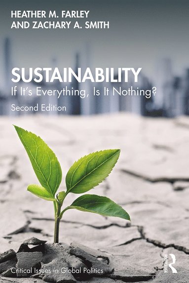 bokomslag Sustainability