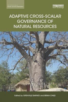 Grenville Barnes, Brian Child - Adaptive Cross-scalar Governance of Natural Resources, Häftad
