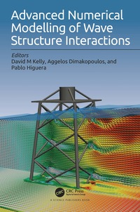 bokomslag Advanced Numerical Modelling of Wave Structure Interaction