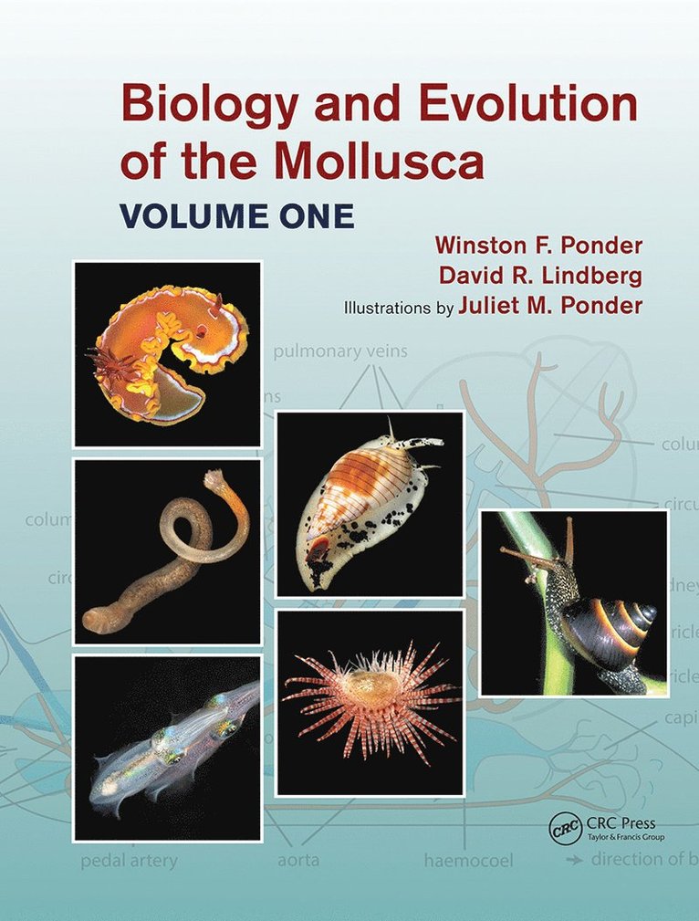 Winston Frank Ponder, David R. Lindberg, Juliet Mary Ponder, USA) Lindberg, David R. (University of California - Biology and Evolution of the Mollusca, Volume 1, Inbunden
