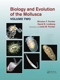 bokomslag Biology and Evolution of the Mollusca, Volume 2