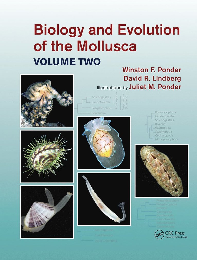Winston Frank Ponder, David R. Lindberg, Juliet Mary Ponder, USA) Lindberg, David R. (University of California - Biology and Evolution of the Mollusca, Volume 2, Inbunden
