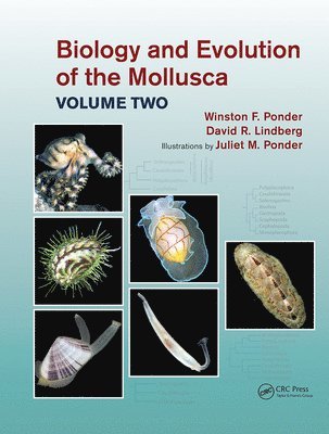 Biology and Evolution of the Mollusca, Volume 2 1