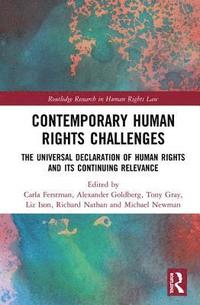 bokomslag Contemporary Human Rights Challenges