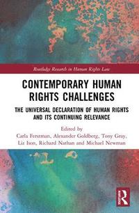 bokomslag Contemporary Human Rights Challenges