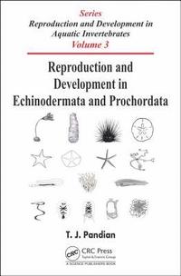 bokomslag Reproduction and Development in Echinodermata and Prochordata