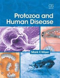 bokomslag Protozoa and Human Disease